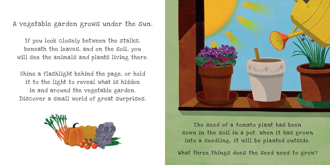 Shine-A-Light: Secrets of the Vegetable Garden Book - learn about what grows under the sun - Little Gift Nook