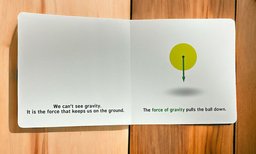Inside Newtonian Physics for Babies : Baby University Board Book ball force and gravity.
