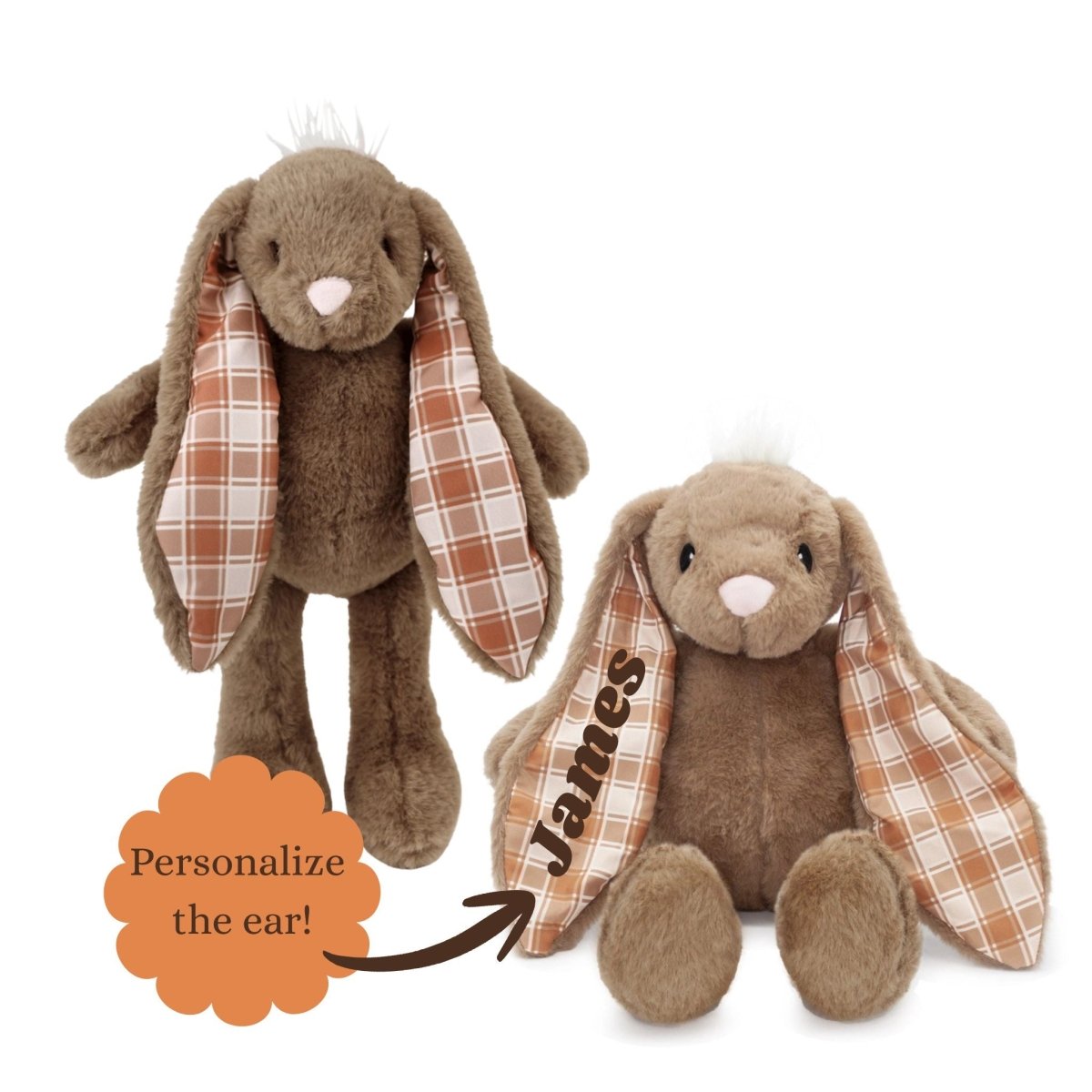 Brown Plush Stuffed bunny one standing and one sitting with ear personalized with name on a white background.