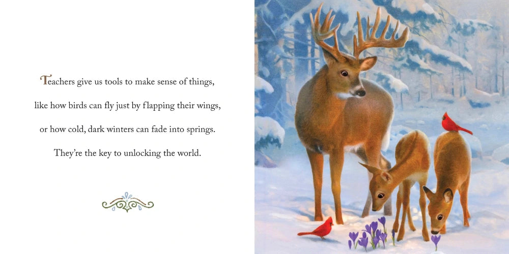 Why We Need Teachers Book buck teacher and baby deer students learning in the woods - Little Gift Nook