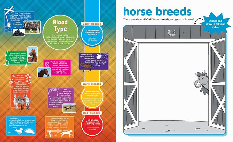 Peel & Discover Horses Sticker Activity Book inside pages with facts about blood types of horses.