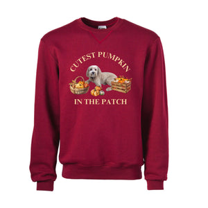 Personalize Pet Tshirts & Sweatshirts