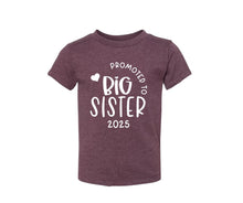 Load image into Gallery viewer, Promoted to Big Sister Tshirt - Little Gift Nook