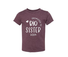 Load image into Gallery viewer, Promoted to Big Sister Tshirt - Little Gift Nook