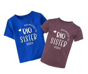 Promoted to Big Sister Tshirt - Little Gift Nook