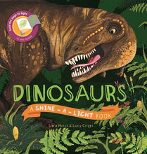 Load image into Gallery viewer, Shine A Light Dinosaurs Book