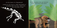 Load image into Gallery viewer, Shine A Light Dinosaurs Book