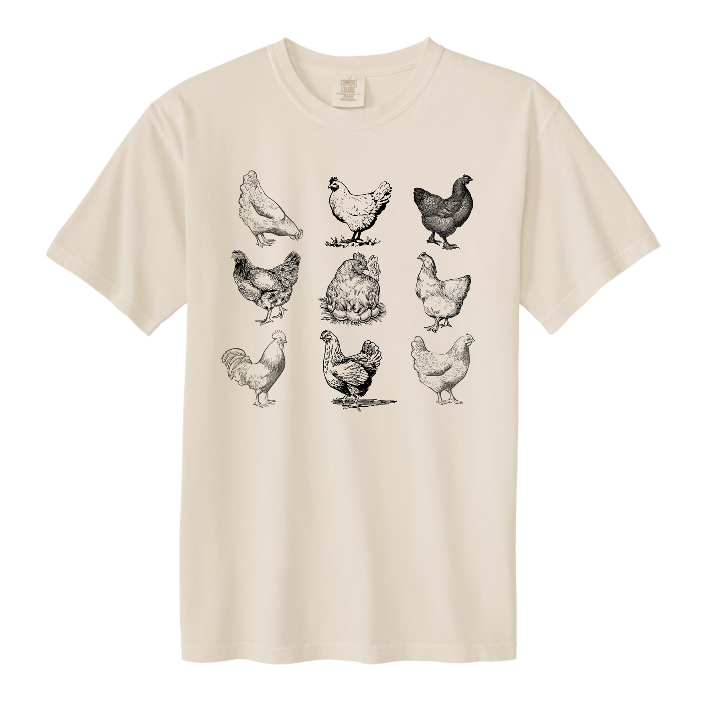 Women's chicken sketch tshirt in ivory. Farm girls tshirt. Easter t-shirt country chic. Little Gift Nook