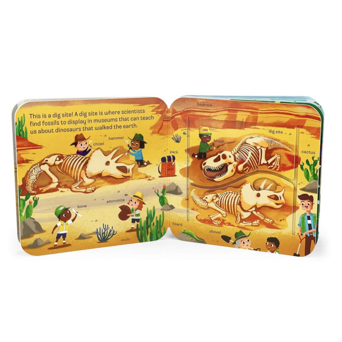 Inside pages of "Dinosaur Peek Flap Book" with illustrations of dinosaur bones and paleontologists with flaps to life sitting on a white background.