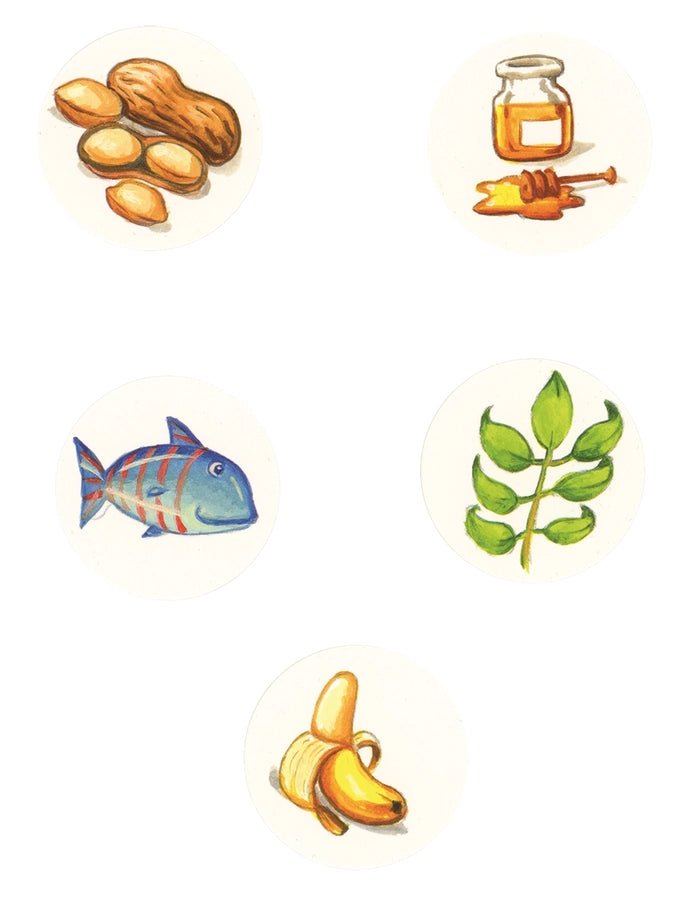 Feed the Animals board book cardboard discs of food to drop into book. On white background.