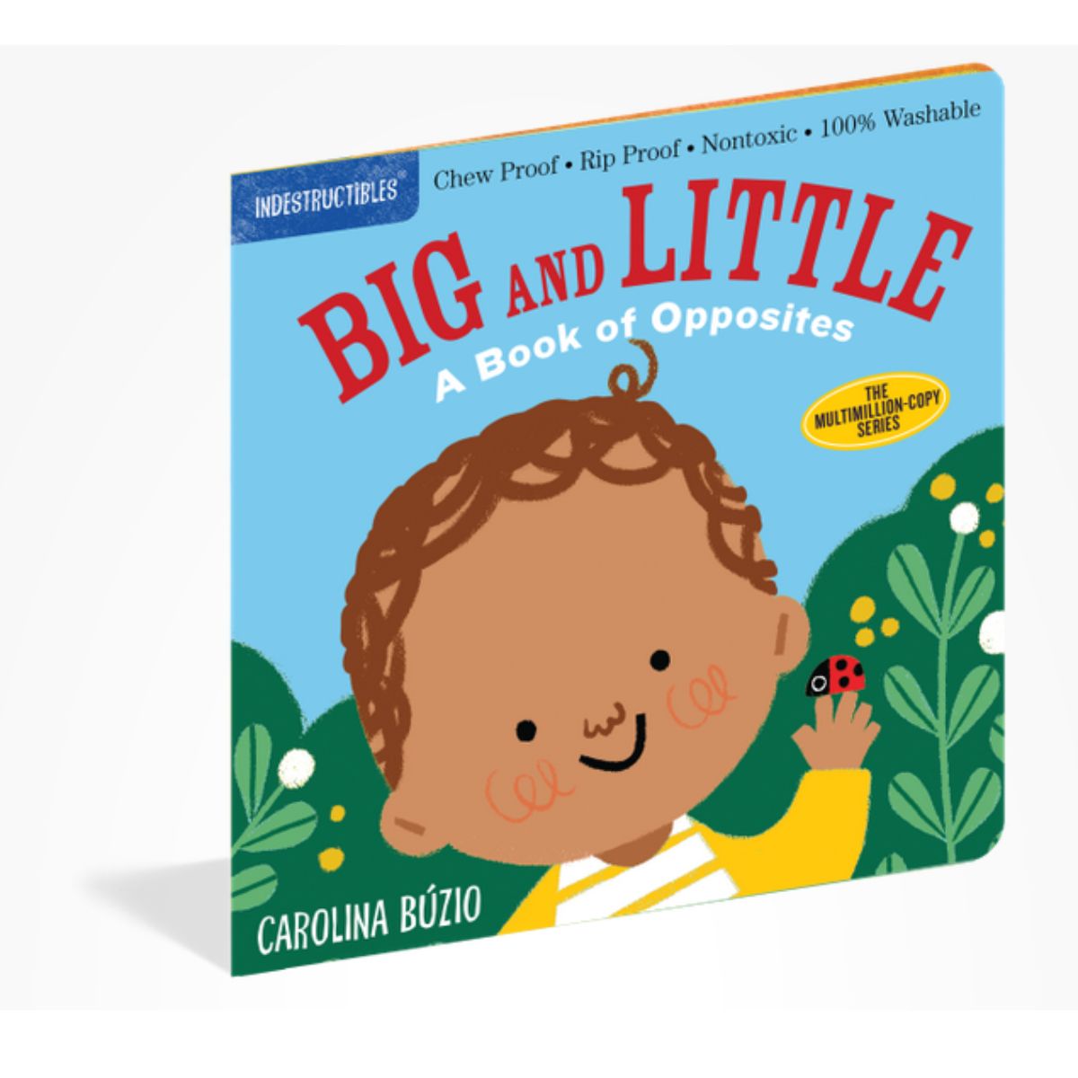 Indestructibles book cover of 'Big and Little: A Book of Opposites' with a child holding a ladybug against a blue sky  standing tilted on white background.