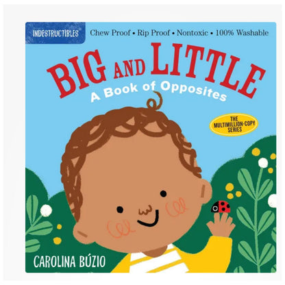 Indestructibles book cover of 'Big and Little: A Book of Opposites' with a child holding a ladybug against a blue sky - Little Gift Nook.