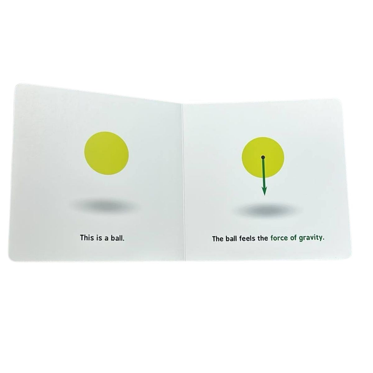 Open book Newtonian Physics with two pages showing a yellow ball and an arrow labeled 'The ball feels the force of gravity'.