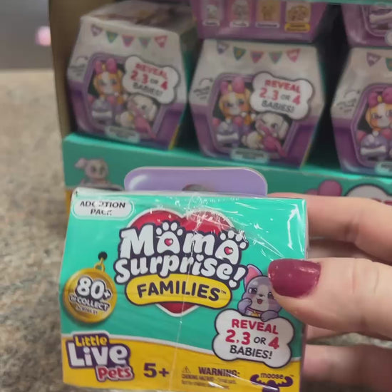 Video of Mama & Baby surprise mystery packs Little Live Pets in Jamestown, NY at the Little Gift Nook.