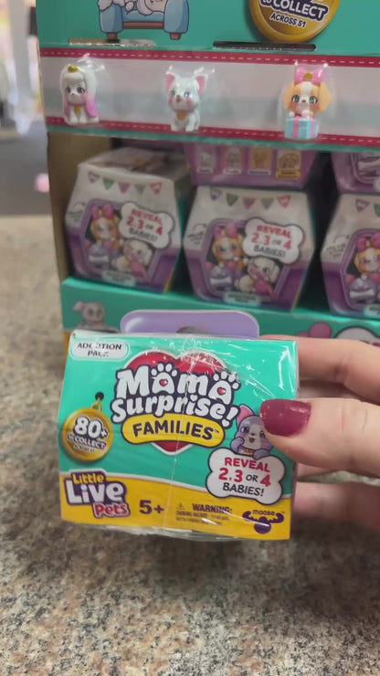 Video of Mama & Baby surprise mystery packs Little Live Pets in Jamestown, NY at the Little Gift Nook.