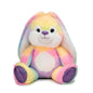 Rainbow Sherbet 6" Soft Bunny. Personalize with a name in the floppy ears.  Makes cute gift idea! Little Gift Nook.