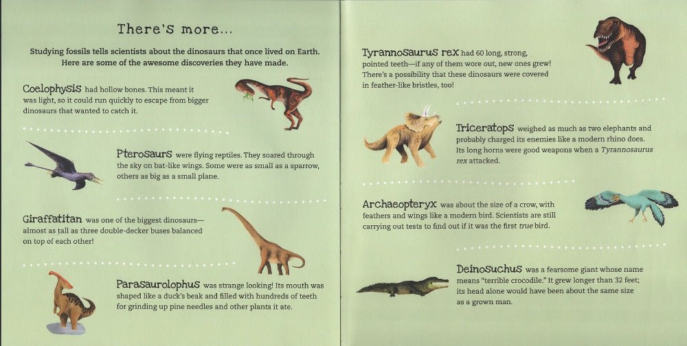 Shine-A-Light: Dinosaurs Book - different types of dinosaurs and facts.