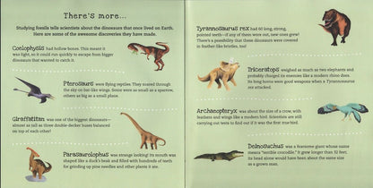 Shine-A-Light: Dinosaurs Book - different types of dinosaurs and facts.