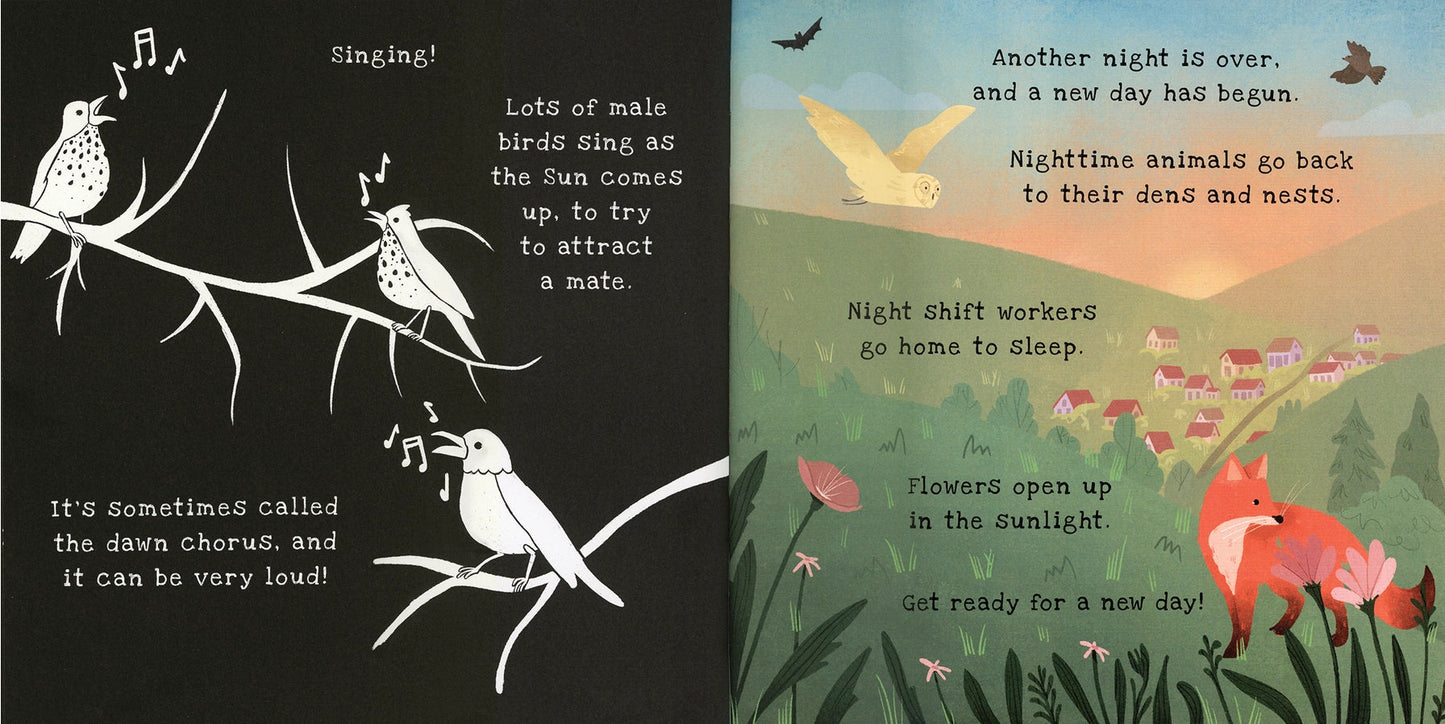 Illustration of birds singing on a branch with text and a fox in a field with text in Shine a Light book Nighttime. 