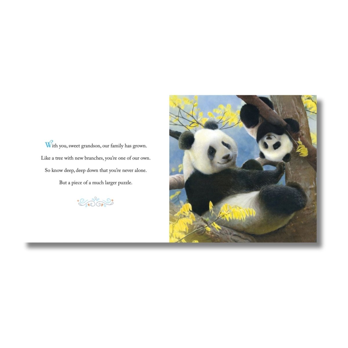 Inside pages of Why we need Grandsons book with panda bears.