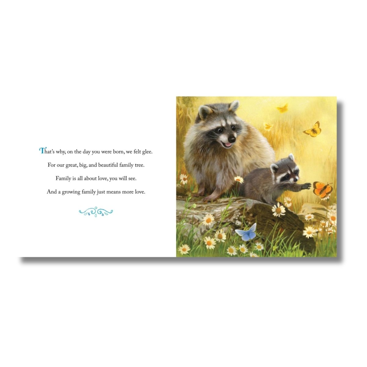 Inside pages of Why we need Grandsons book with Grandpa and Grandson racoon and butterflies.