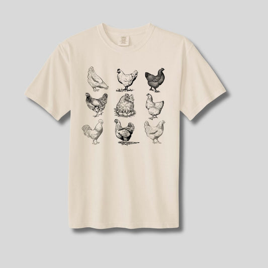 Women's chicken sketch tshirt in ivory. Farm girls tshirt. Easter t-shirt country chic. Little Gift Nook