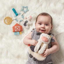 Load image into Gallery viewer, Itzy Ritzy Bitzy Busy Farm Baby Gift Set. Comes with 6 piece plush toys and teethers.