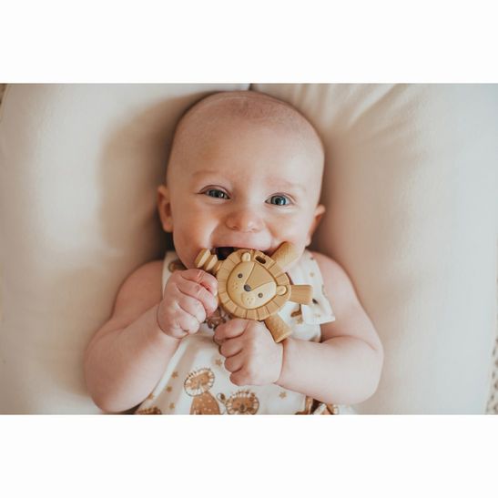 baby teething on Itzy Ritzy Lion Baby Molar Teether with 7 textured tubes sticking out from body base - Little Gift Nook