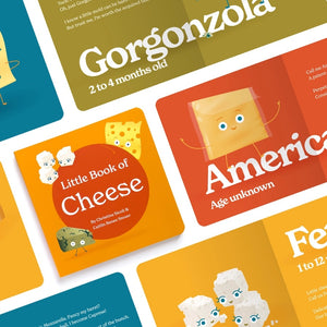 Little Book of Cheese Board Book for babies and toddlers.