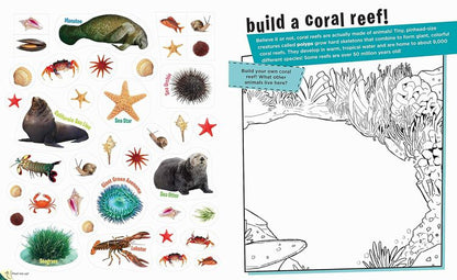 Peel & Discover Oceans Sticker Activity Book. Sticker page and activity page.- Little Gift Nook